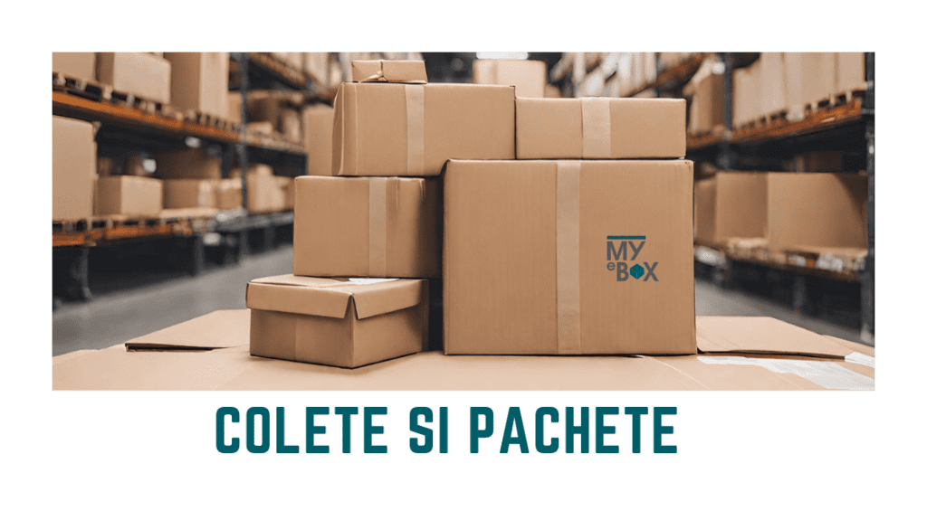 Soluții Eficiente pentru Expedieri: Colete si Pachete în Cutii de Carton