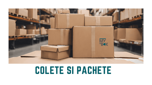 Soluții Eficiente pentru Expedieri: Colete si Pachete în Cutii de Carton