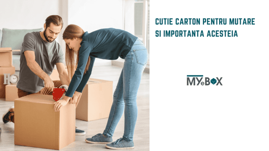 Cutie carton pentru mutare si importanta acesteia