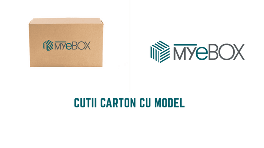 Cutii Carton cu Model