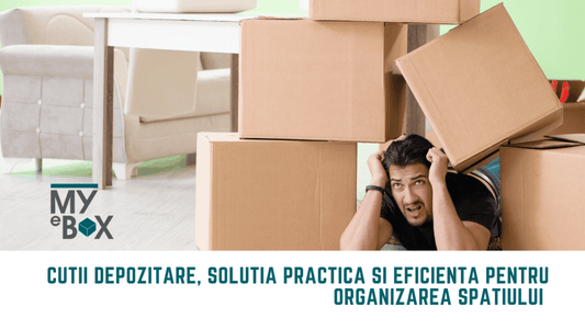 Cutii Depozitare Solutia Practica si Eficienta in organizare
