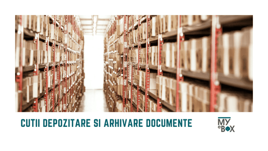 Cutii Depozitare și Arhivare Documente