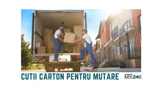 Cutii carton pentru mutare
