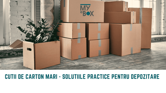Cutii de carton mari – Soluțiile Practice pentru Depozitare