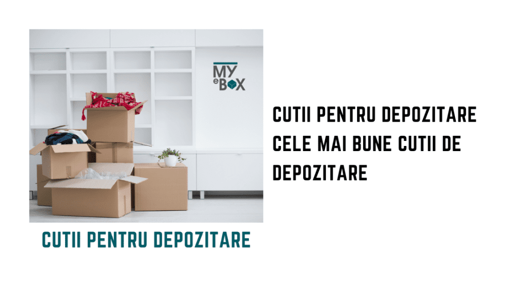 Cutii pentru Depozitare: Cele mai bune cutii de depozitare