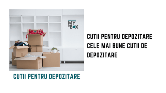 Cutii pentru Depozitare: Cele mai bune cutii de depozitare