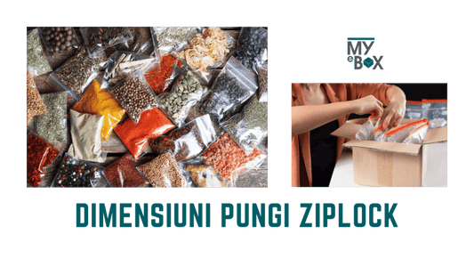 Dimensiuni pungi ziplock pentru depozitare