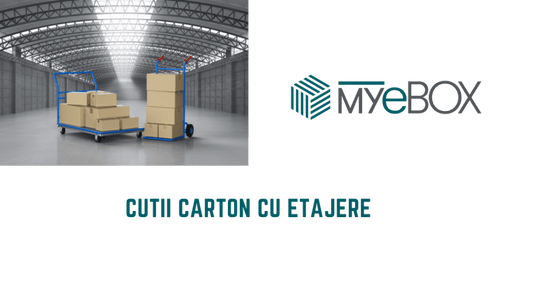 Cutii carton cu etajere