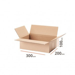 Cutie Carton 300X200X100 mm