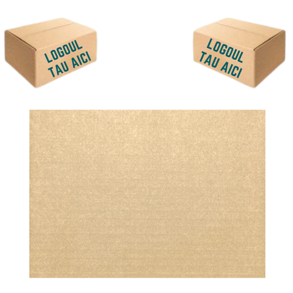 Cutie Carton Personalizata 300X250X250 mm