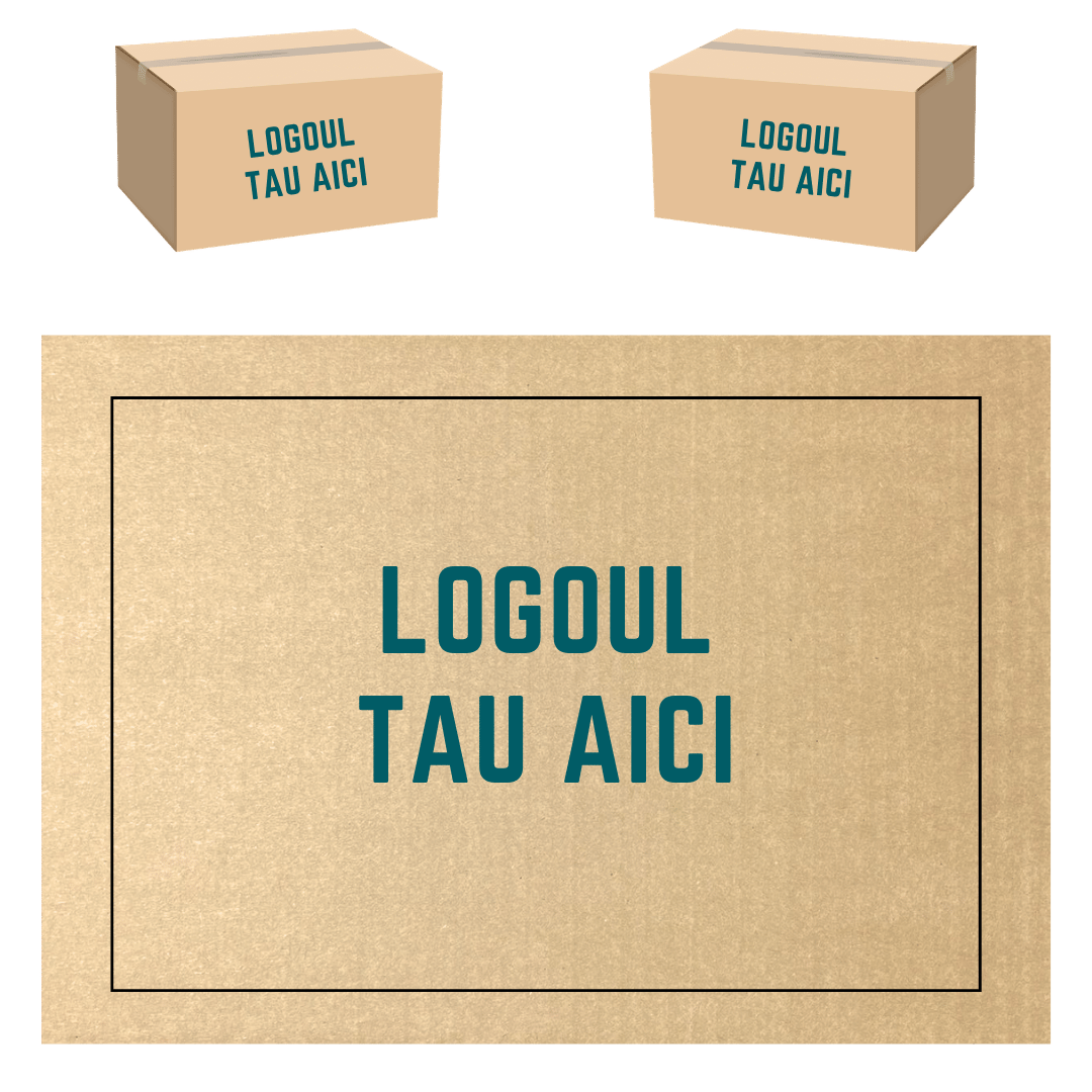 Cutie Personalizata 400x300x250 mm CO3