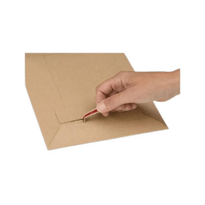 Plic Cartonat 290x410x50 mm (2)