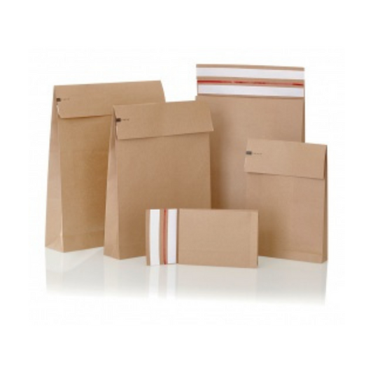 Plic Curierat Eco 350X250X50 mm