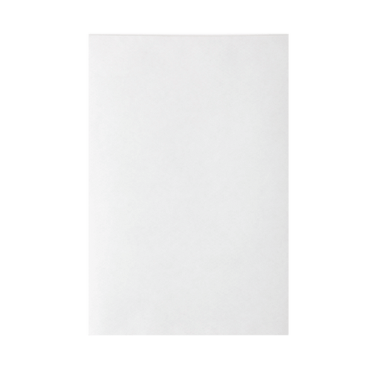 Plic Personalizat Antisoc E15 Alb 240X275 mm