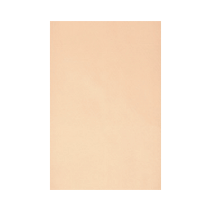 Plic Personalizat C4 cu Burduf 229X324X40 mm