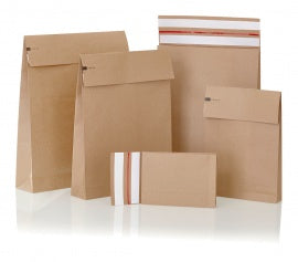 Plic Curierat Eco 450X350X120 mm
